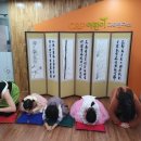 체리트리 Daum카페