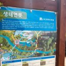 수목원꽃식물원 이미지