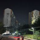 계어그릴스 네이버블로그