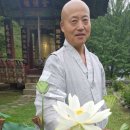 일선 이미지