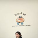 브레드44