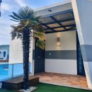 드레피인 이미지