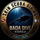 군산 직도·흑도 당일 다이빙 투어 후기 | 서해의 숨겨진 수중세계를 만나다