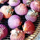 달달한조개구이포차 이미지