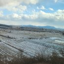 현충탑교차로 이미지