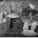 모악산공영주차장(중인리) 이미지