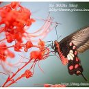 대진초등학교 이미지