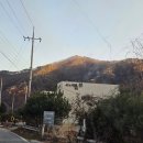 소노리베뷰 이미지