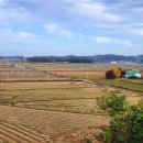 당진포1리 이미지