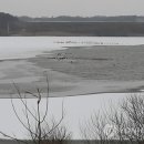 동림축산 이미지