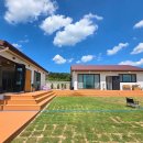 스테이 뮤트 이미지