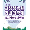 카페라벤더숲