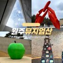 뮤지엄산미술관 | 강원도 원주 가볼만한곳 뮤지엄산 미술관 입장료 원주여행 놀거리
