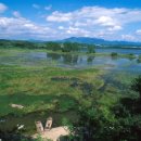 창녕 우포늪 이미지