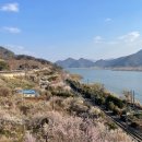 원동1공원 | 양산 원동 낙동강 순매원 뷰 대형카페 할리스