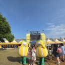 경북 성주 참외축제 &amp; 캠핑카 여행 후기: 맛과 즐거움이 가득했던 여름날!