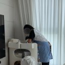 가야김밥and집밥 | 부산 산후도우미 추천 봄소리 서부산점 3주 이용후기