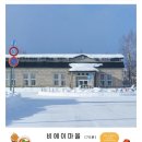 삿포로 자유여행 2일차 : 와쿠와쿠 비에이 투어 (내돈내산 솔직 후기)