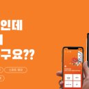 베베슈트링 이미지