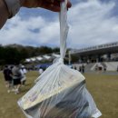 도동천로 | 2026 공군과 함께하는 진주 남강 마라톤대회 참가 후기