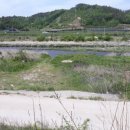 강가농장 이미지