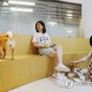 CATS TIME CAFE 이미지