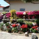 냉천골민박 이미지