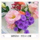 플로바이데이 | 남자친구 부모님 첫 인사 꽃다발, 세종 플로바이데이에서 준비했어요!