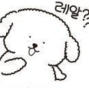 오포스튜디오 네이버블로그