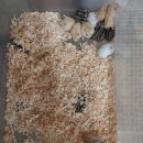 도봉-도봉-서울도봉-2286 이미지