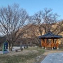 정자나무공원 이미지