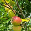 해와달농장 이미지