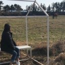 시동목장 이미지