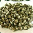 홍교가든 이미지