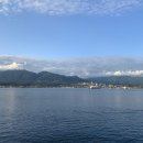 HAPPY TREE(해피트리) 이미지