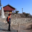 완주체육관 이미지