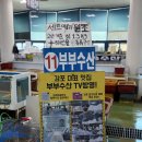 싱싱활어회 | [경주감포횟집] 감포수산시장에서 싱싱한 활어회 포장 후기 '부부수산'
