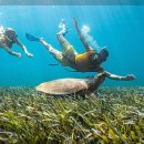 에덴의 정원 이미지