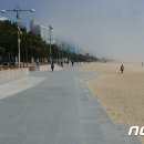해운대해수욕장 호안도로 - 32719 | 해운대해수욕장 호안도로