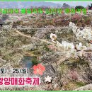 천만금 이미지