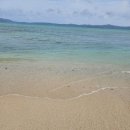 목포야구장 | 3일차오키나와-만좌모/킨야구장/코우리대교/츠케멘징베에/돈키호테나고점