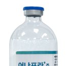 비보약국 이미지