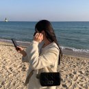 흥 소프트 | 디올 카로백 스몰ㅣ소프트 디올 카로 스몰 백 은장 램스킨 후기ㅣ사몰가 이너백