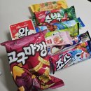 일상 : ~250223