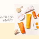 썬라이트코리아 이미지