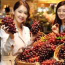 홍주유통