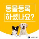 반려인연