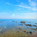 엠아이알오(MIRO) 이미지