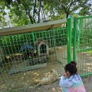 정있는집 이미지