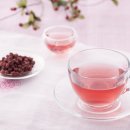 제철태권도 이미지